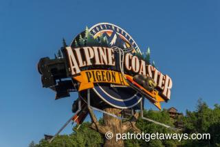 Bear Sunrise by American Patriot Getaways - 8