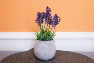Stylish London Apartment in Hallfield Estate - Londres - 8