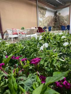 Jumadaler Garden Bukhara Old Town We are ready to Festival Biennial on September-November - 1