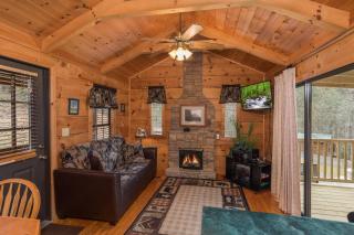 Boogie Bear by American Patriot Getaways - 5