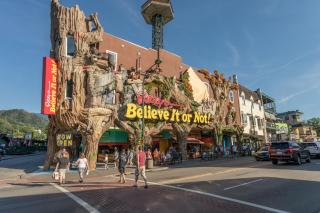 Ober the Top Views by American Patriot Getaways - 1