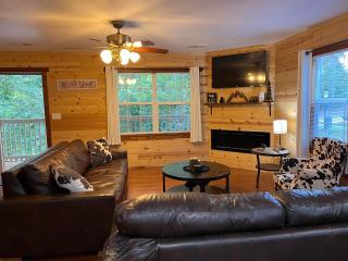 Ole Bud Cabin by American Patriot Getaways - 1