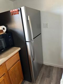 Blue Cypress - Cocoa - 7