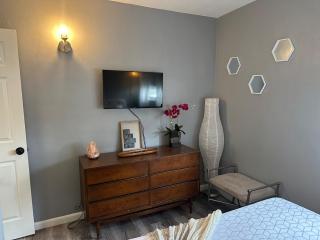 Blue Cypress - Cocoa - 6