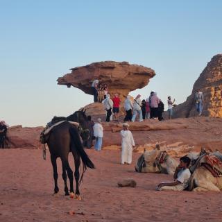 Desert Knights camp - Wadi Rum - 8
