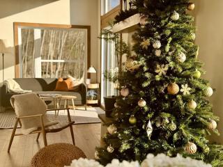 La Libellule- The Zen Lake House in Tremblant - - 4