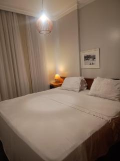 Tulip in flat SAN martain - 9