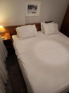 Tulip in flat SAN martain - 1