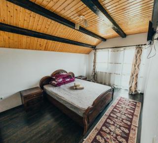 Casa Costea în Inima Bucovinei - Capu Cîmpului - 9