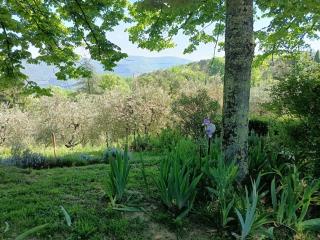 Hillside semi-detached villa with panoramic views - 7