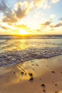 All Inclusive Ixchel Villa - Tulum - 4