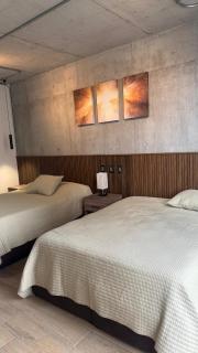 Cómodo y moderno departamento en Monterrey - Monterrey - 7