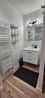 Le ST Martin, Appartement de 45 m avec chambre séparé - 5