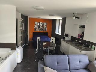 Studio meublé à proximité de la sortie d'autoroute de Feurs - Poncins - 1