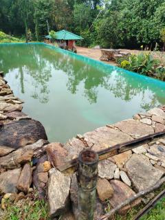 Cinnamon Leaf Leisure Resort Lake view Cabana - - 7