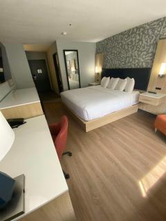 Best Western Montrose Inn - Montrose - 2