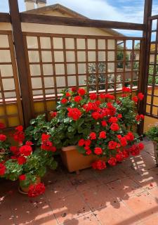 Casa Burano-Relax in Terrazza tra mare e natura - 4