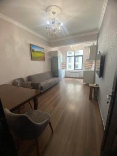 The Best Apartment 3 - Baku - 0