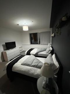 Cozy 2-Bed Near Birmingham City - Birmingham - 9