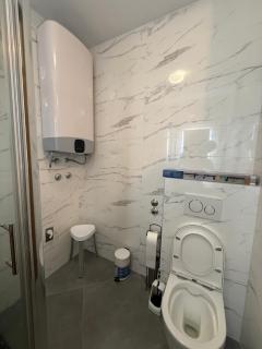 Center Apartment 2 Sisak - Sisak - 4