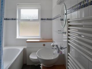 Buzzards - 8235 - Bridport - 5