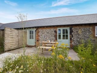 Linnet - Uk50154 - Faversham - 0