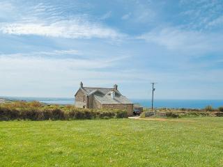 Downhouse Cottage - Delabole - 0