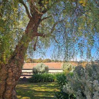 Your next dream farmhouse Milford - - 4