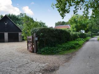 Broad Cottage Boathouse - Ranworth - 7
