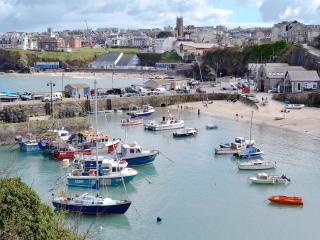 Newquay Holiday Villa - Saint Columb Major - 5
