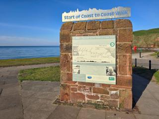 The St Bees Knees - St Bees - 2