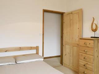 Coriander - E4323 - Ludham - 5