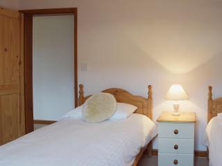 Coriander - E4323 - Ludham - 3