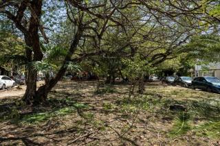 Compact Studio with Balcony Park View Casa Jurel - 8