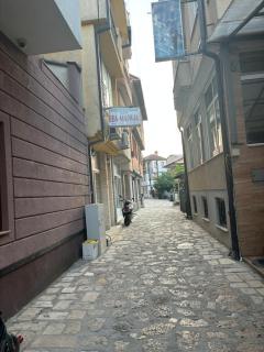 Panda Struga - 6