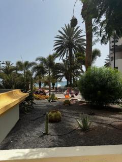 Tagora del Guayero - 5