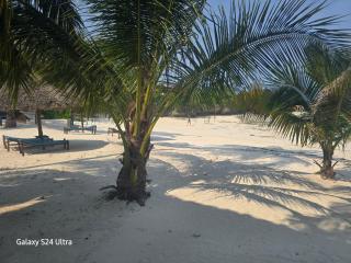 Ocean Bliss Beach Resort - Pongwe - 1