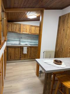 Appartamento DOLOMITES con BOX privato - 1