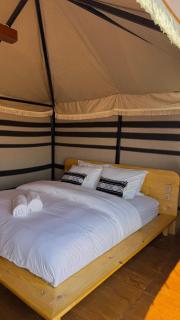 FYAFY Bidiyah Bedouin Camp - Bidiyah - 7