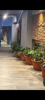 Hotel ICONICO JUJUY Centro Desayuno incluido - 1