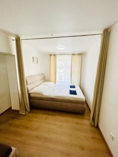 A newly renovated Apartment the heart of Prague - 6