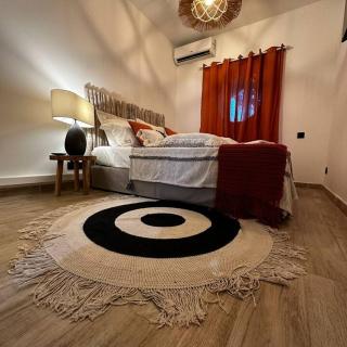 T2 Corail sur la plage pied ds sable - 6