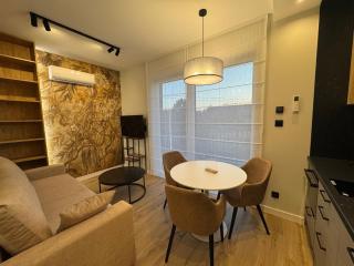 Vip Apartamenty na Borowej - 4