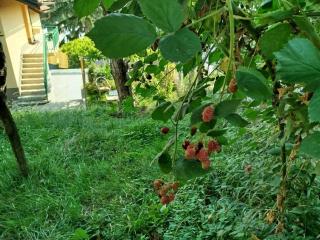 Sarajevo Green Garden - Raskršće - 1