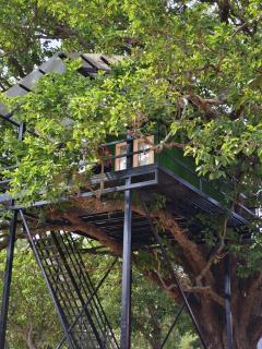 Croft Yelagiri - glamping stay - Yelagiri - 8