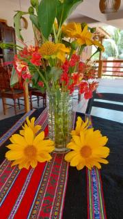 Sol do Gostoso Apto - 4