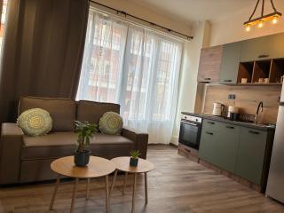 Olive House - Veria - 1