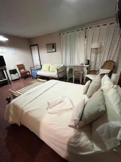 SUITE FAMILIAR EN CENTRO CIUDAD DE MENDOZA COCHERA DISPONiBLE - Barraquero - 0