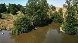 Maison de ferme, prairies sur la colline, étang - 5