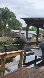 FREE BOAT to use ,Fish Camp, Water Front, Pets ok - 2